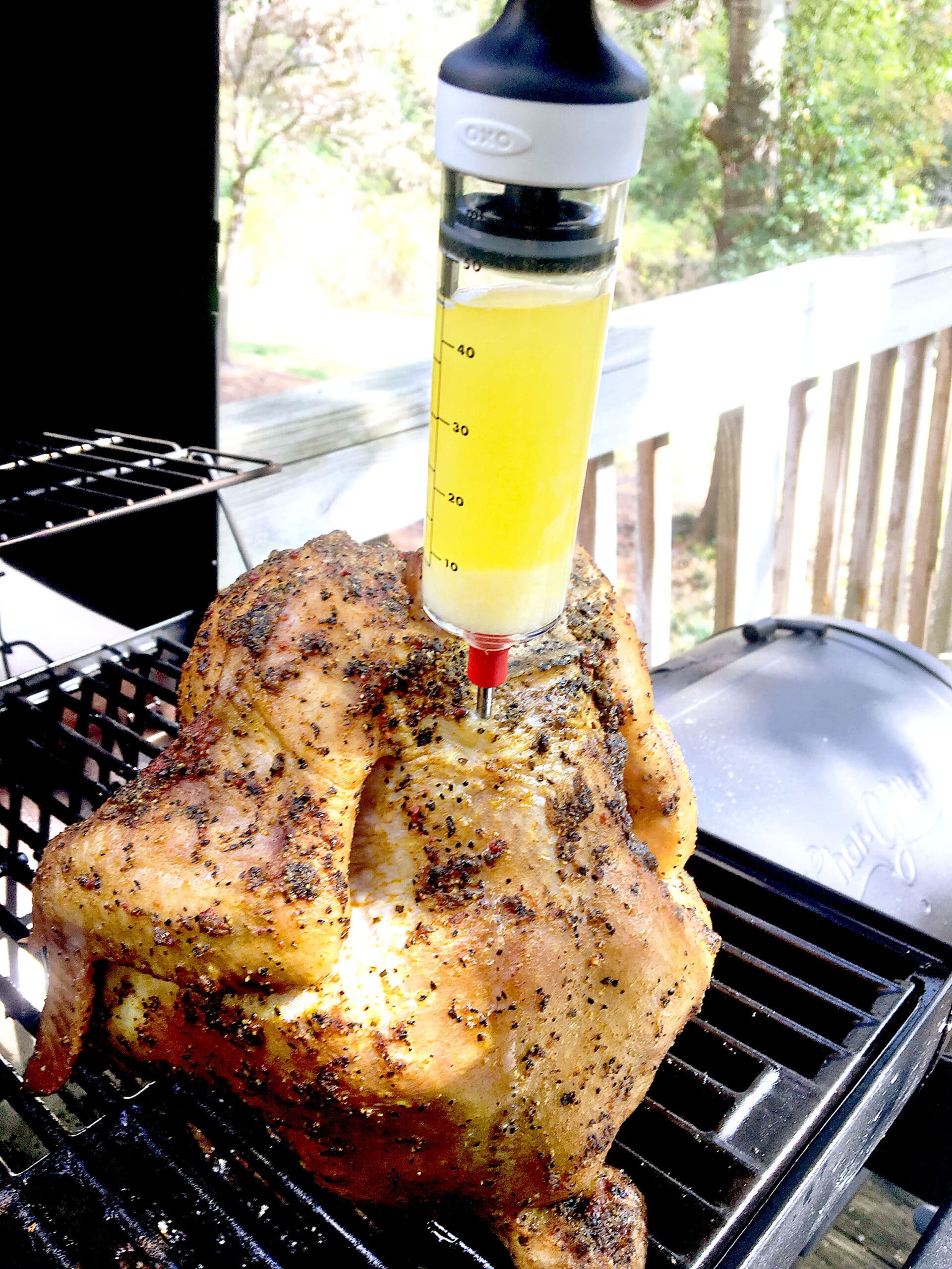Beer Can Chicken Dixie Chik Cooks
