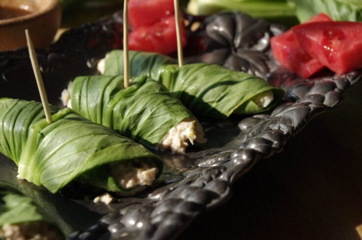 Tuna Salad Bok Choy Rolls