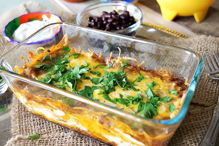 Enchilada Lasagna