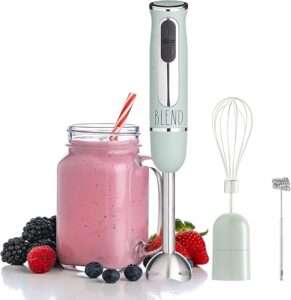 Rae Dunn Immersion Blender