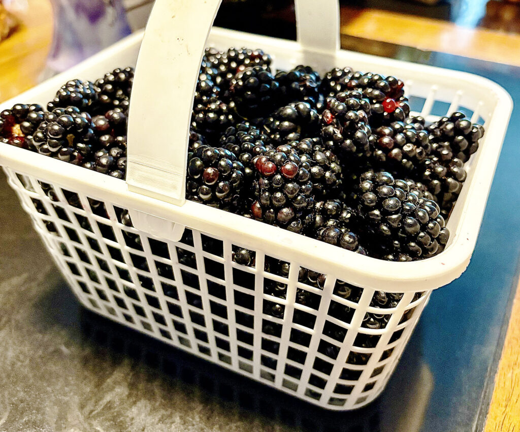 Blackberry Cheesecake Ice Cream Blackberry Cheesecake Ice Cream