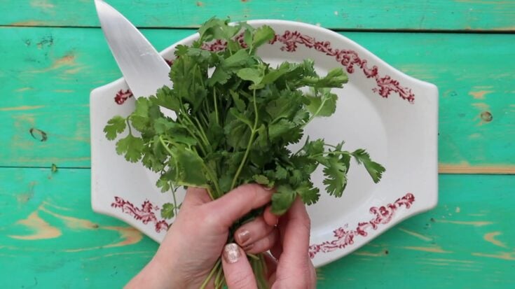How To Remove Parsley Leaves From Stems (The Fast Way)